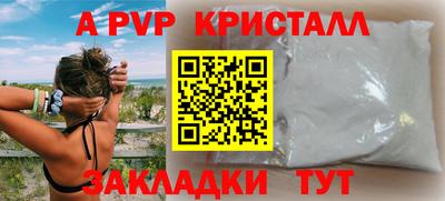 молекула духа Камышлов