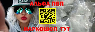 молекула духа Камышлов